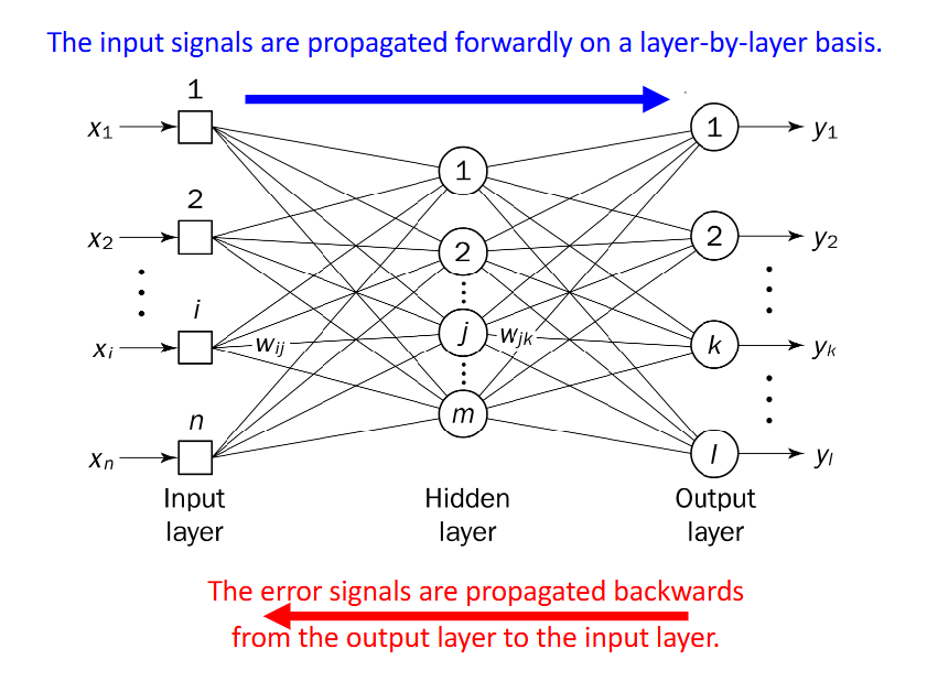 Backpropagation / signal flow